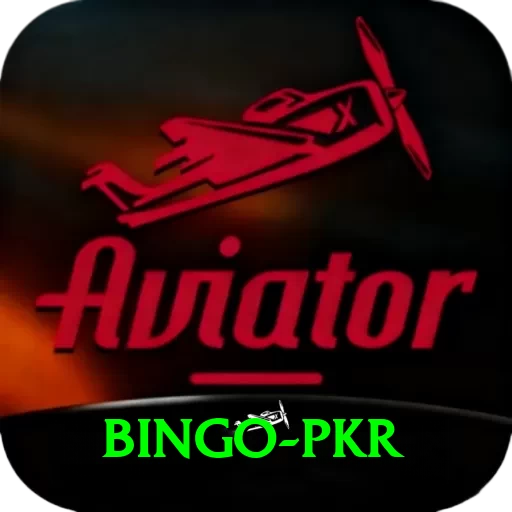 Bingo PKR Pro1 v4.0.9 - 2