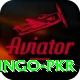 Bingo PKR Pro1 v4.0.9