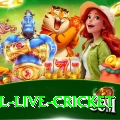 bpl live cricket Game Extreme v3.1.8