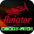 cricket pitch Bonus Plus v1.1.7