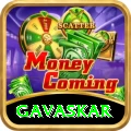 gavaskar - VIP Premium