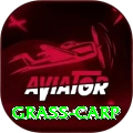 grass carp Earn Master v4.5.2
