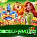 india cricket match - Gaming Deluxe