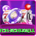 india cricket match schedule APK Turbo v3.9.1