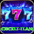 ireland cricket team Game Gold v2.1.4