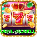 morne morkel - Ultimate Earning App