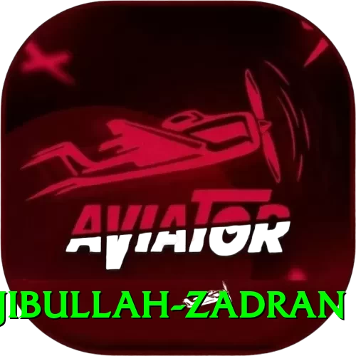 najibullah zadran - VIP Deluxe - 2