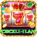 new zealand cricket team Cash Super