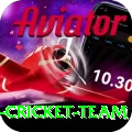 pakistan women cricket team Turbo Latest v3.7.6