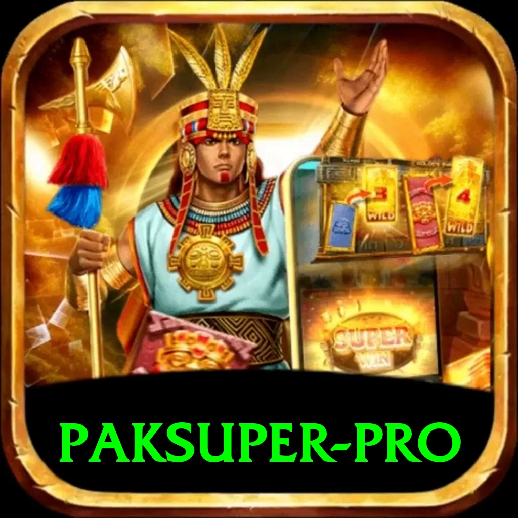 paksuper Mobile Pro - 2