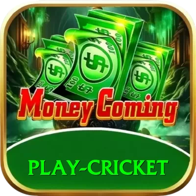 play cricket - Gaming Supreme - 2