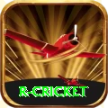 r cricket Champion Gaming App