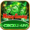 smart cricket live Games Deluxe
