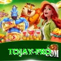 tojay Live Casino Mega